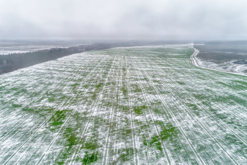 Agricultural field under the snow.
