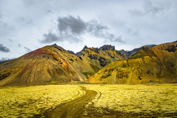 Wilderness in Vatnajökull National Park at South part of Iceland, summer time