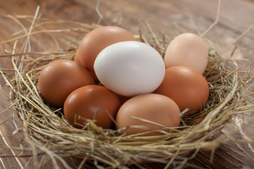 Fresh village chicken eggs on dark wooden background. Easter entourage. Basket or socket