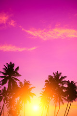 Fototapeta na wymiar Beautiful sunset on tropical beach. Palm trees on island shore vertical with vivid sky as copy-space.