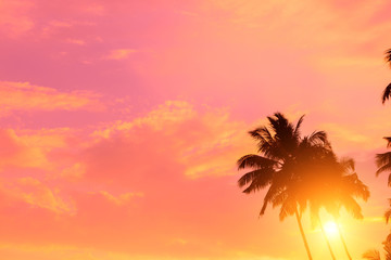 Obraz na płótnie Canvas Tropical sunset. Coconut palm trees with shining sun, vivid sky and copy-space.