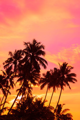 Naklejka na ściany i meble Tropical sunset coconut palm trees