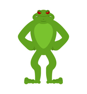 Frog angry. Toad evil emotions avatar. Anuran aggressive. Vector illustration
