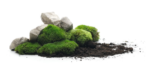 Green moss with dirt, soil and decorative stone, rock isolated on white background