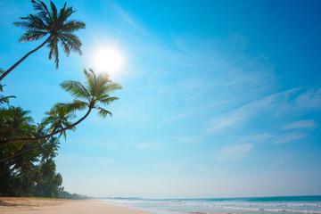 Obraz na płótnie Canvas Tropical ocean shore with coconut palm trees. Empty vacation island beach.