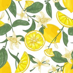 Seamless pattern with fresh juicy lemons, whole and cut into pieces, flowers and leaves on white background. Backdrop with citrus fruits. Botanical vector illustration in antique style for wallpaper.