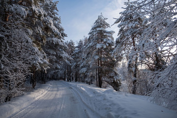 road in the mountains