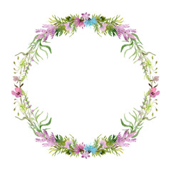 watercolor drawing of a wreath of field plants, flowers and herbs