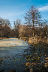 Sunny meadow in early spring. Frozen lake and poplar trees