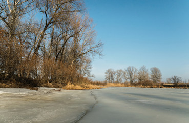 Obraz na płótnie Canvas Sunny meadow in early spring. Frozen lake and poplar trees