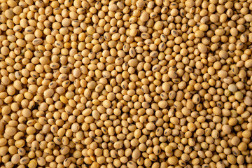 Soy beans seeds background