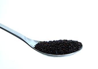 Vegetable seed on a stainless spoon