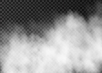White smoke  or fog  isolated on transparent background.