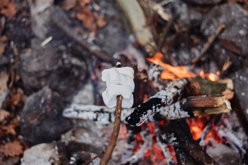 marshmellow over fire
