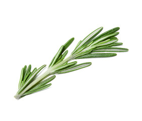 Sprig of fresh green rosemary on a white isolated background. Close-up. View from above.