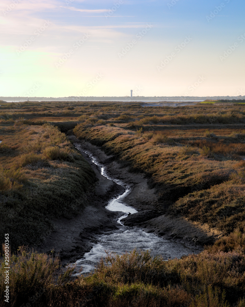 Wall mural marsh