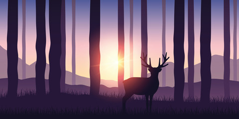 lonely wildlife reindeer in the forest purple nature landscape with sunshine