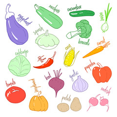 Set of different vegetables in doodle style.