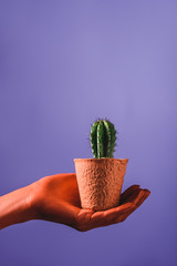 Partial view of coral colored female hand with coral flower pot on violet background, color of 2019 concept