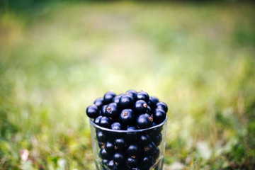 The fresh berries in the transparent glass for background