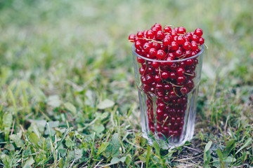 The fresh berries in the transparent glass for background