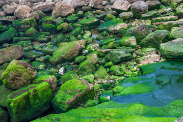 Background with gray and green rocks with water