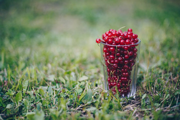 The fresh berries in the transparent glass for background