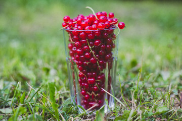 The fresh berries in the transparent glass for background