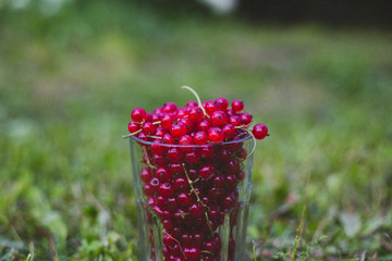 The fresh berries in the transparent glass for background