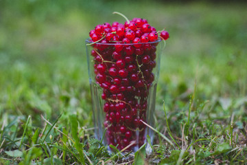 The fresh berries in the transparent glass for background