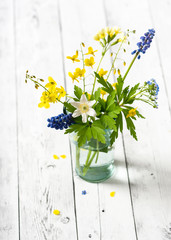 Spring fresh wild flowers of wood anemone, grape hyacinths, myosotis and yellow barrenwort in a glass vase. Copy space. Concept of spring.