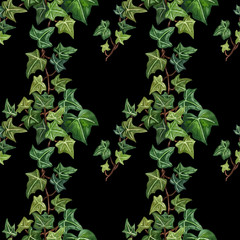 Fototapeta na wymiar Watercolor seamless botanical ivy illustration. Botanical seamless pattern from ivy twig.