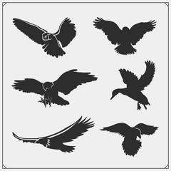 Set of bird silhouettes. Raven, eagle, owl, falcon, hawk and duck. Print design for t-shirts.