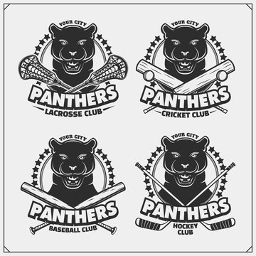 Panthers Baseball Club