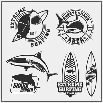 Set of surfing emblems with shark. Surf design elements. Print design for t-shirts.