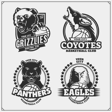 Basketball badges, labels and design elements. Sport club emblems with grizzly bear, panther, coyote and eagle. Print design for t-shirts.