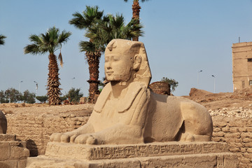 Egypt Luxor temple Pharaoh.