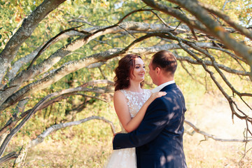 Fototapeta premium young bride and groom walking in autumn Park with yellow leaves