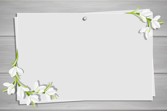 Relief board with photo and place for inscription. Template for the inscription with snowdrop flowers. Spring frame. Inspiration board. Mockup with blooming flowers