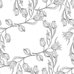 Seamless white and black pattern with tulip. Natural wildflowers white and black illustration.