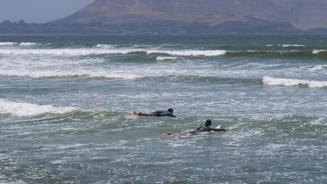Miraflores Peru. Lima. Coast. ocean surfing waves. Going surfing. Pedling on surfboard. Surfers. 