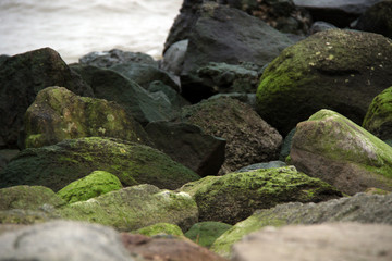 Green stones on the beach