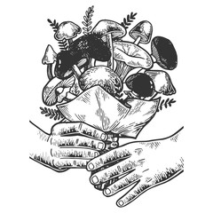 Hands with bouquet of mushrooms sketch engraving vector illustration. Scratch board style imitation. Black and white hand drawn image.