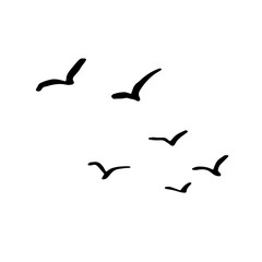 Fototapeta premium Flying flock of birds. Hand drawn brush vector illustration.