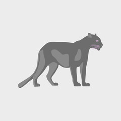 Vector illustration in flat style panther © anastasia_horovits