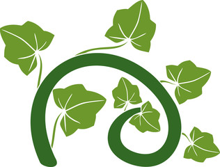 Silhouette of stylized pumpkin stem with green leaves isolated on white background