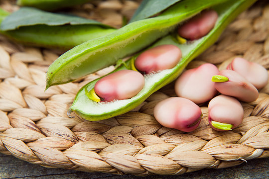 Karmazyn and Green Broad Beans