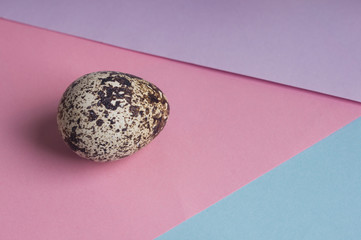 single quail eggs on color background. Vegetarian organic  eco food. top view