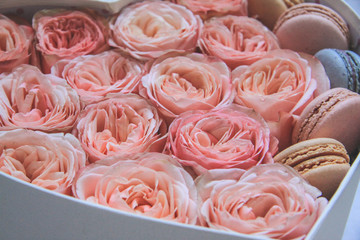 Rose gift box heart and macaroni