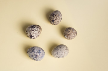 heap of quail eggs on color background. Vegetarian organic  eco food.  Top view. flatlay